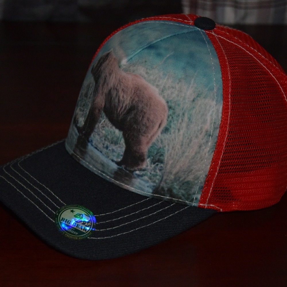 Hat Unisex California Big Bear New
